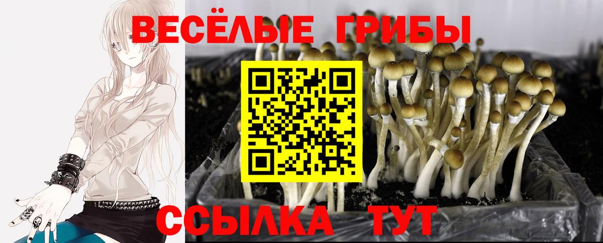 Галлюциногенные грибы Magic Shrooms  Вход с VPN  Людиново 