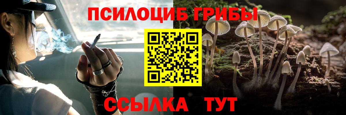 Псилоцибиновые грибы ЛСД Людиново